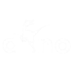 dino-300x300-removebg-preview